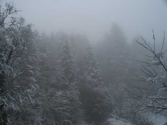 oesterreich_005.jpg