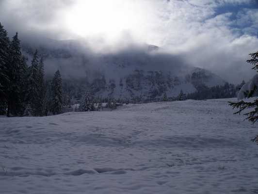 oesterreich_025.jpg