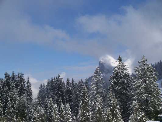 oesterreich_029.jpg