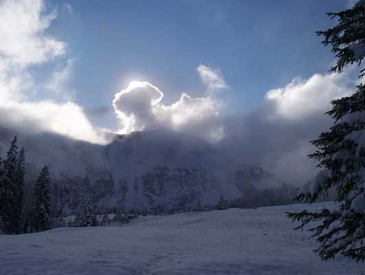 oesterreich_032.jpg