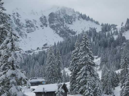 oesterreich_035.jpg