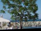 100_0623c.jpg