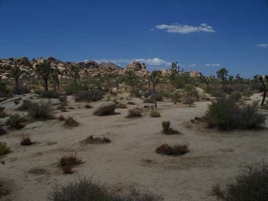 las_vegas_022.jpg