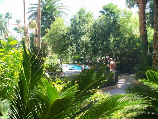 las_vegas_079.jpg