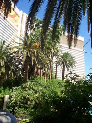 las_vegas_080.jpg