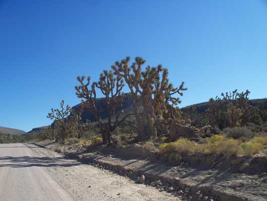 las_vegas_166.jpg