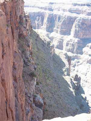 las_vegas_186.jpg