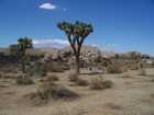 las_vegas_013.jpg