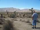 las_vegas_014.jpg