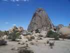 las_vegas_021.jpg