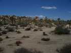 las_vegas_022.jpg