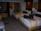 las_vegas_046.jpg