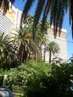 las_vegas_080.jpg
