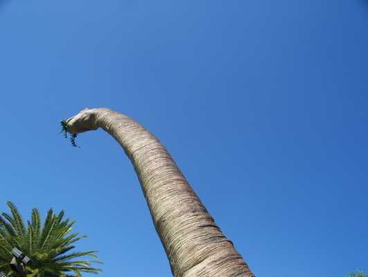 los_angeles_062.jpg