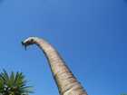 los_angeles_062.jpg
