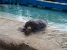 san_diego_046.jpg
