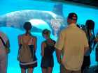 san_diego_057.jpg