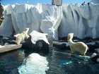 san_diego_070.jpg