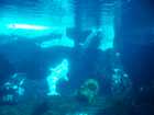 san_diego_071.jpg